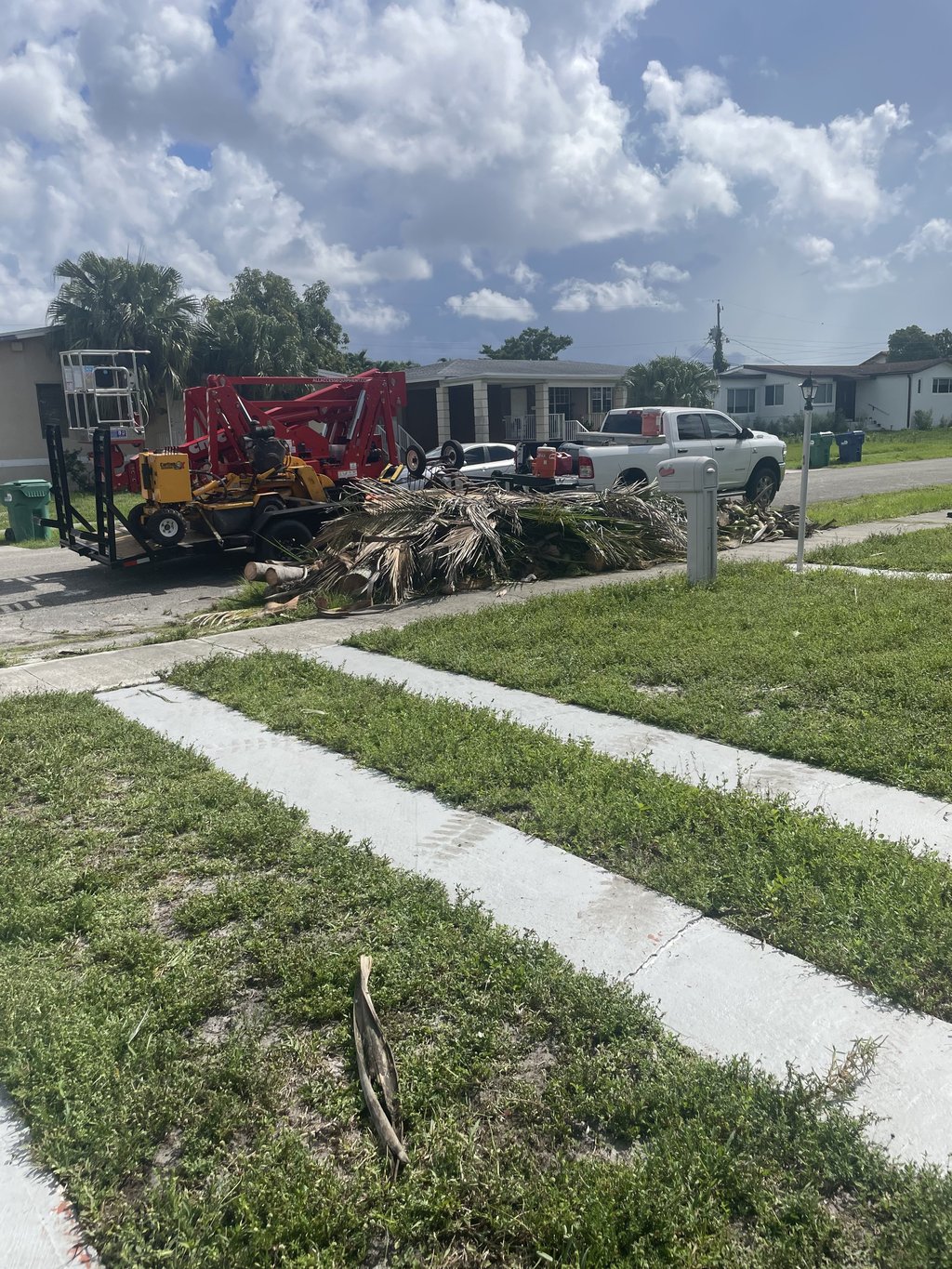Crew trimming palm trees in a South Florida yard